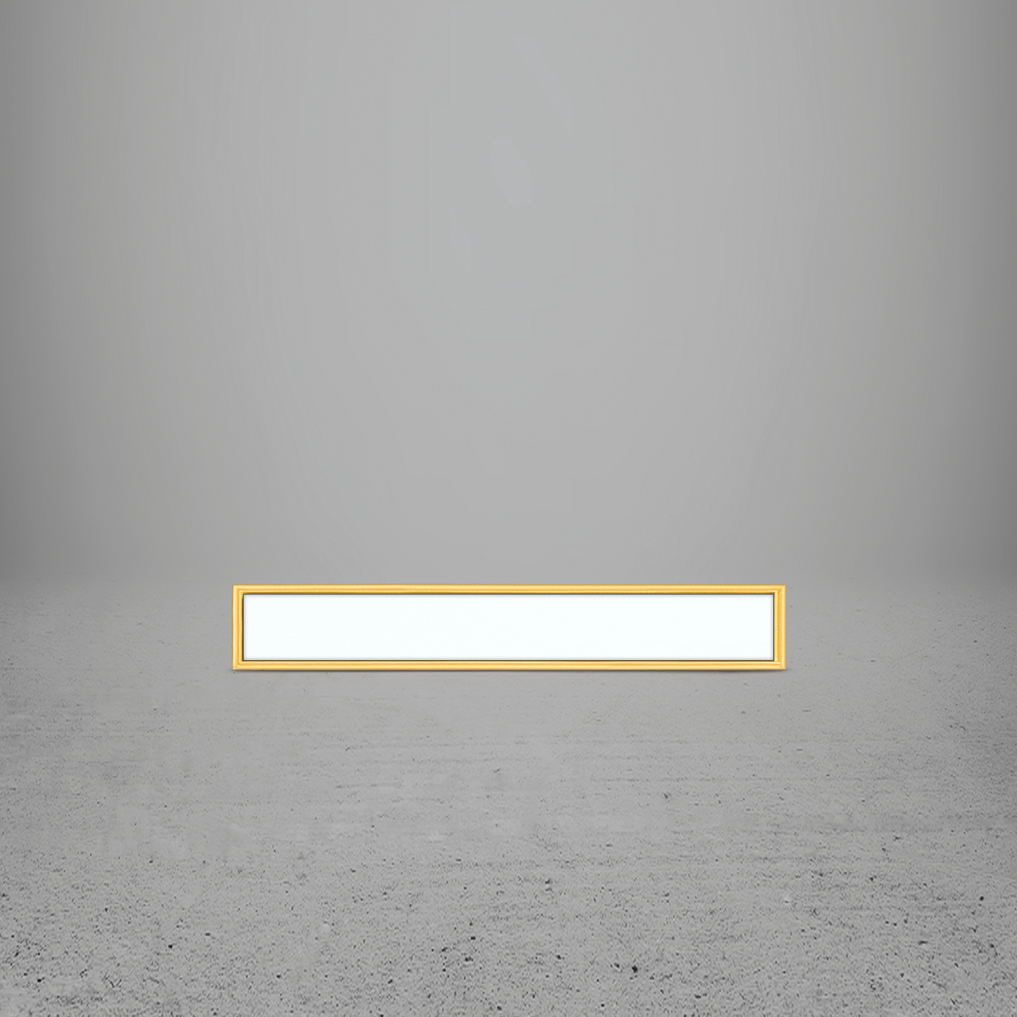FRAME/INSERT Metal 10 Rectangular Blank