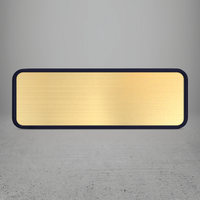 FRAME/INSERT Plastic 42 Rectangular Blank
