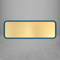 FRAME/INSERT Plastic 42 Rectangular Blank