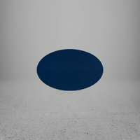 INSERT Plastic 57 Oval Blank