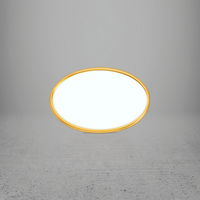 FRAME/INSERT Metal 57 Oval