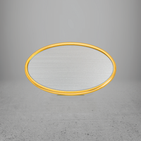 FRAME/INSERT Metal 59 Oval Blank