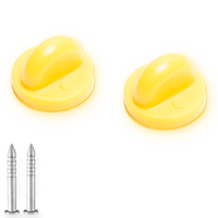 Regular Nail w/ Rubber Gripper